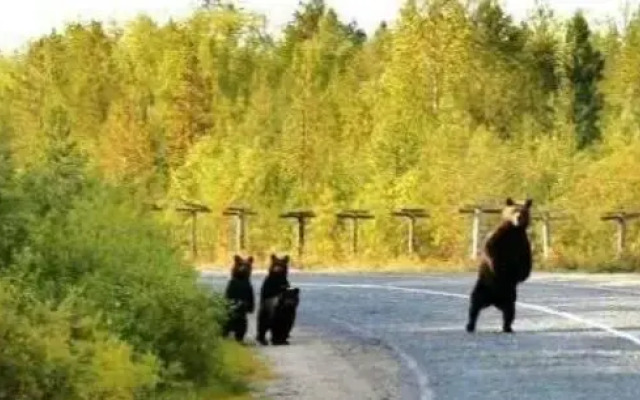 Agriturismo Miralago