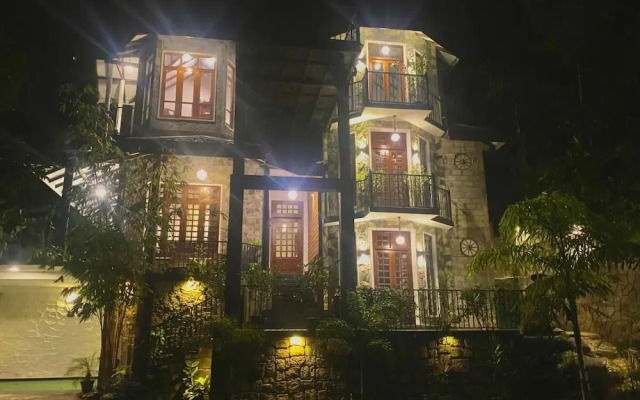Villa Shungite