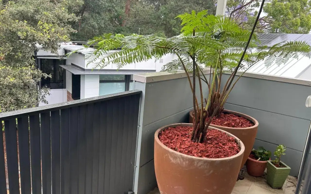 Bushland setting close to Sydney CBD- stand alone apartment