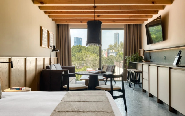 ONTO Alvaro Obregon Mexico City