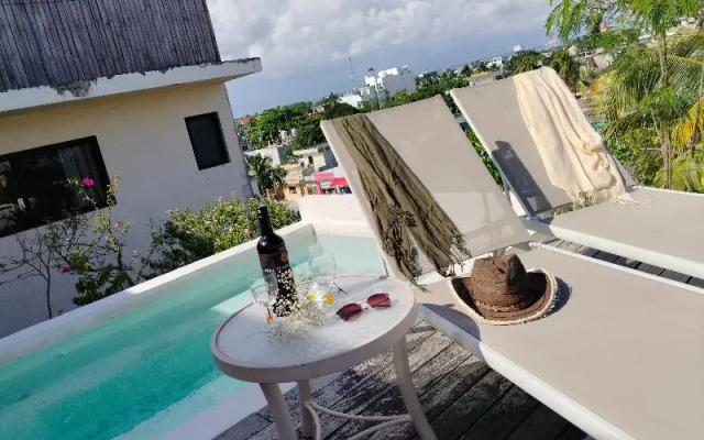 Polos Playa Del Carmen