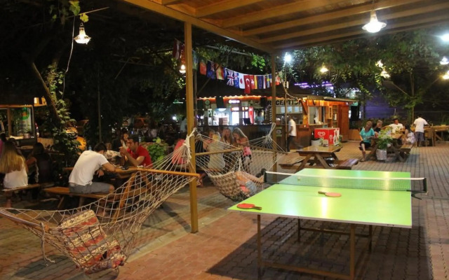 Olympos Orange
