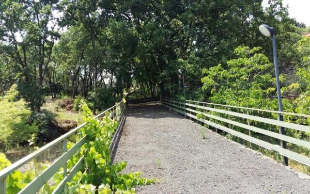 Le Tre Rose Di Maria