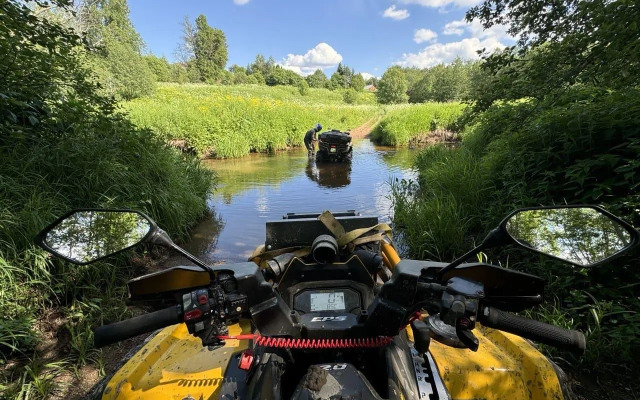 Домики Бэмби Ленд