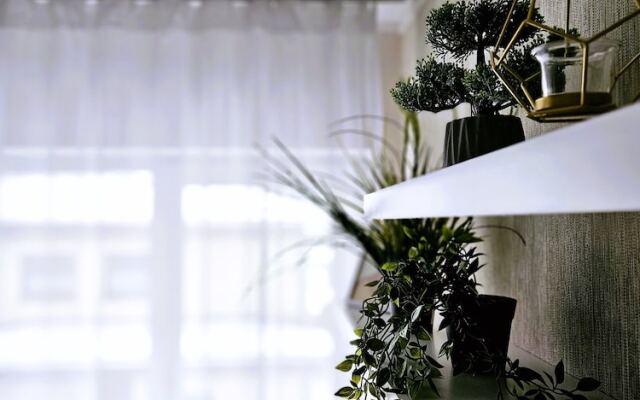 Cofy Rentals Tallinn