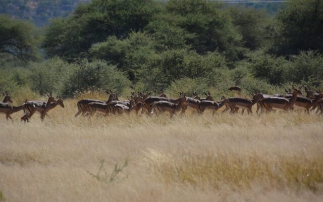 Gabus Game Ranch