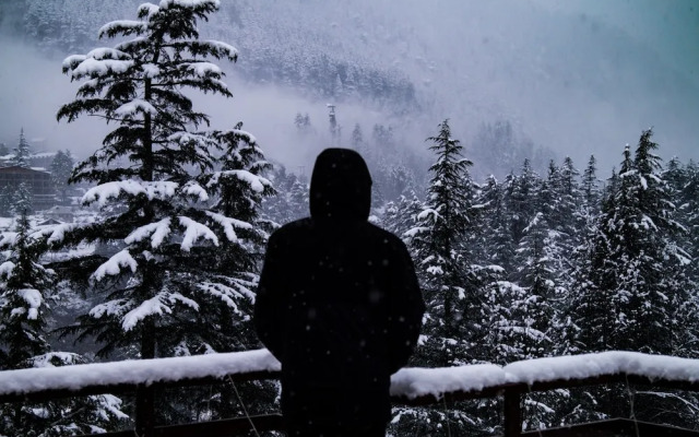 Alt Life Manali