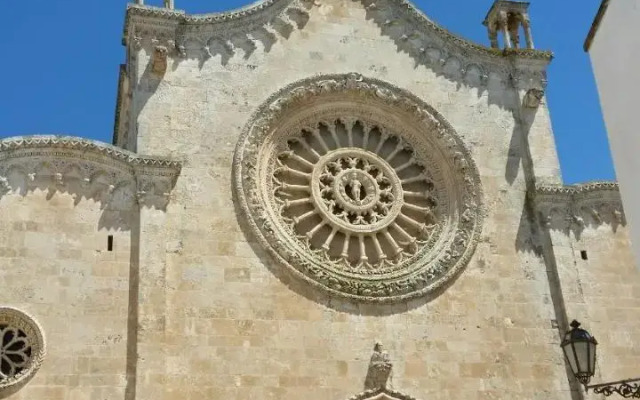 Vico Fortis 30