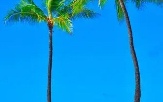 Gone 2 Florida Vacation Homes