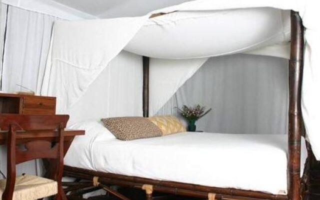 Expediciones Mexico Verde