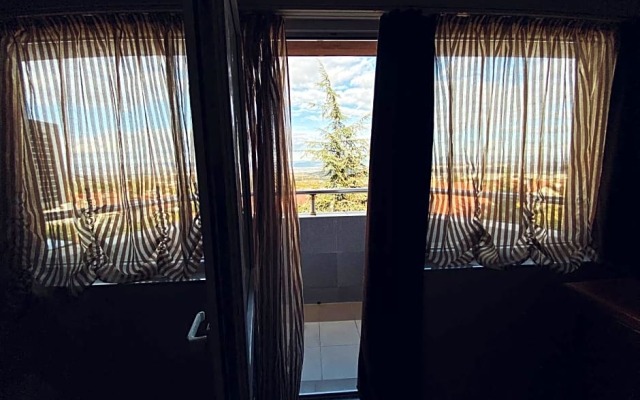 Hotel Fancy