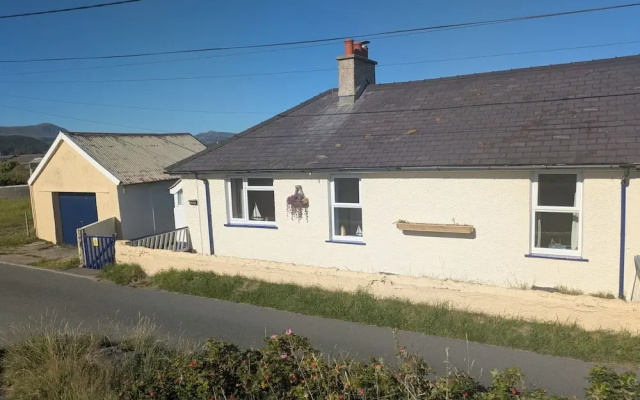Minydon