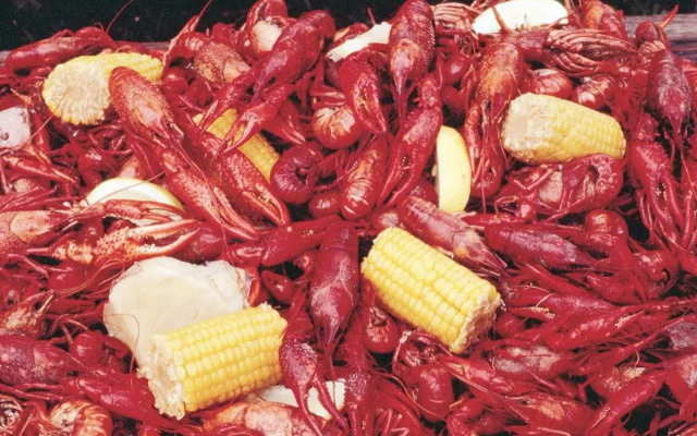 DoubleTree by Hilton Hotel Lafayette