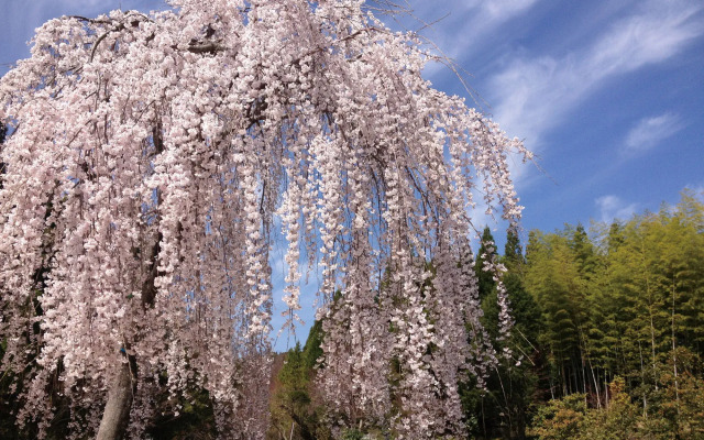 Hiroshima Airport Hotel