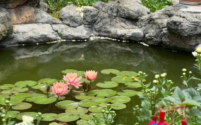 Log, Shanshe Boutique B & B – Outside – Anshun