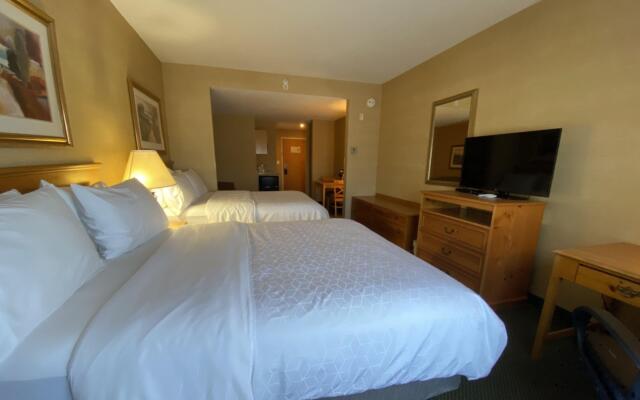 Holiday Inn Express Hotel & Suites Warrenton by IHG