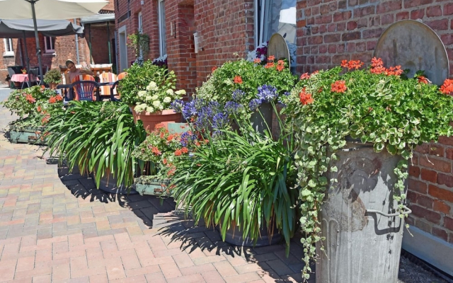 Julias Havelherberge