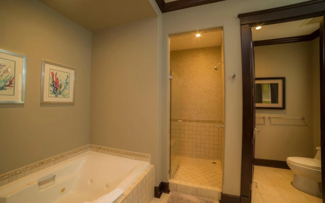 Vista Bahia 3D - 3bdr 3bath Plunge Pool