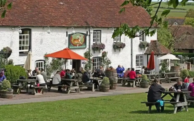 Minnie - Tiger Inn