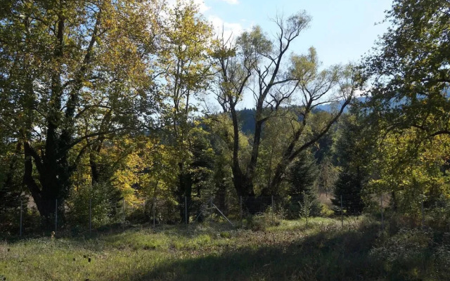 Forest Haven Chalet Karpenisi