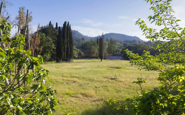 Pelecas Country Club