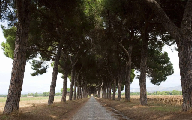 Agriturismo Pantano Borghese