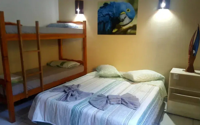 Arara Suite