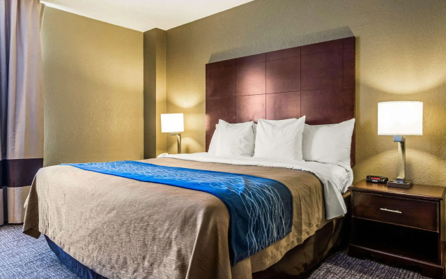 Comfort Inn Atlanta Downtown South