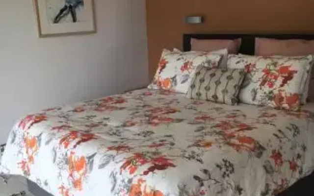 Nikau Apartments Waiheke Island