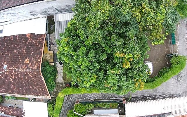 Mango Tree Dipudjo Homestay