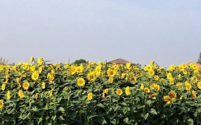 Locanda La Spigolatrice