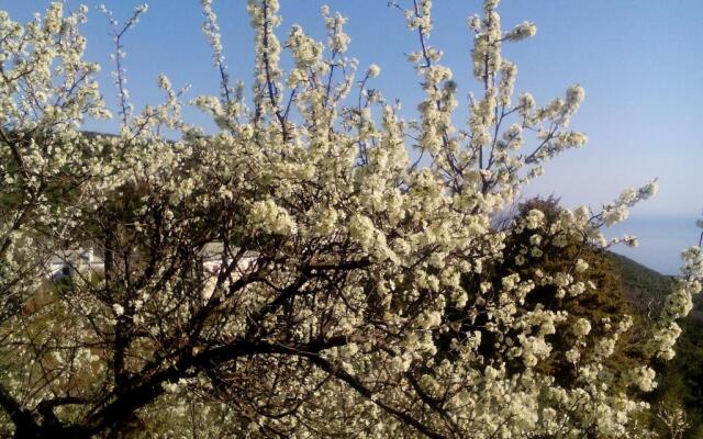 Nightingale Cottage Pelion