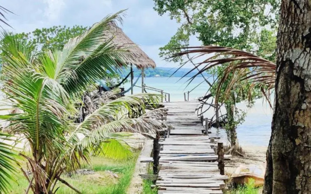 Mangrove Beach Bungalows