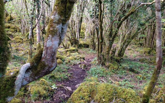 Burren Bushcraft - Camping & Adventures