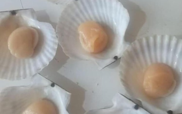 Хостел «Два капитана»