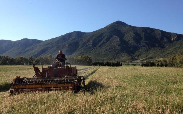 Saludi & Trigu rural apartments