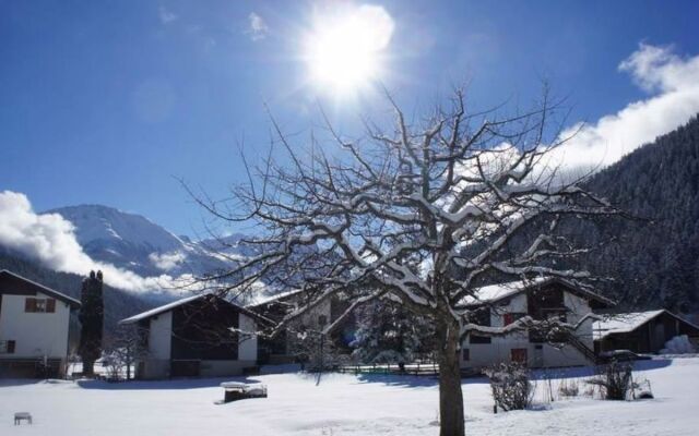 Apartment Sweda Fiesch