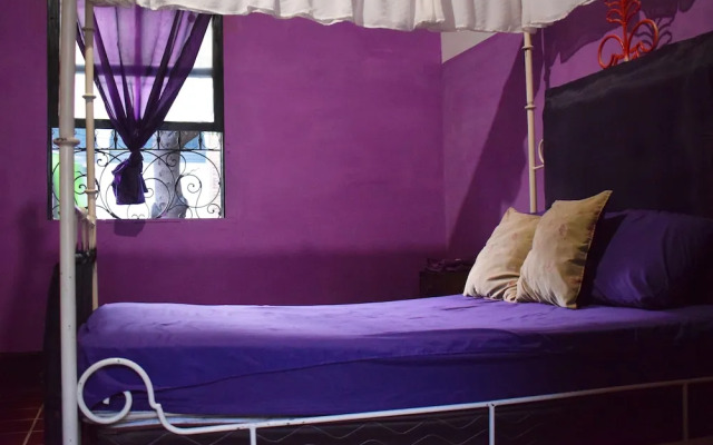 Mi Casita Zona 4