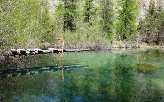 Appartement au Chalet dOrcières Merlette