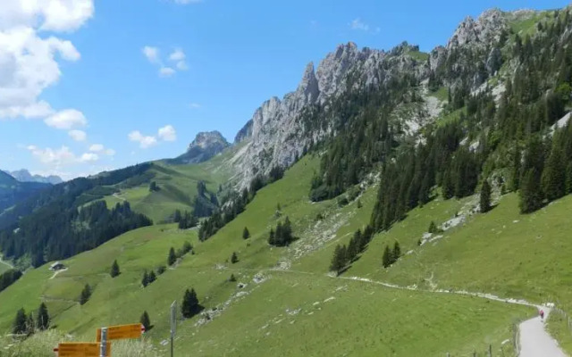 Waldruhe