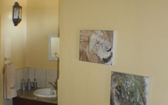 Distinctly Africa - Manyeleti