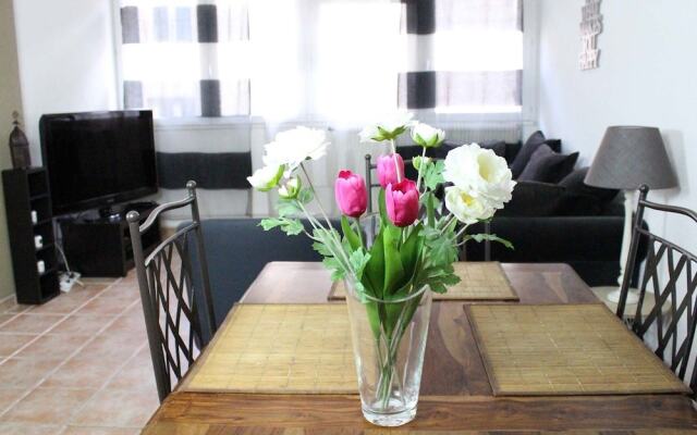 Appartement Ferruce