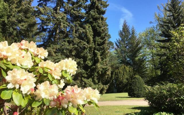 Residenz Bleichröder - Ferienwohnung Teja