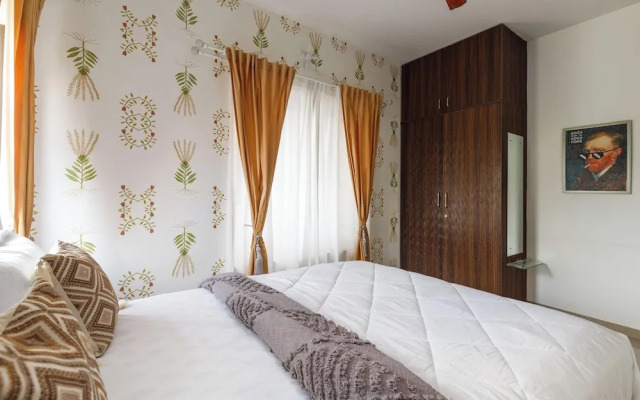 Golden Ivory by Red Olive