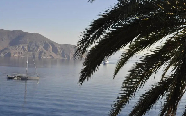 Palm Tree Studio Symi