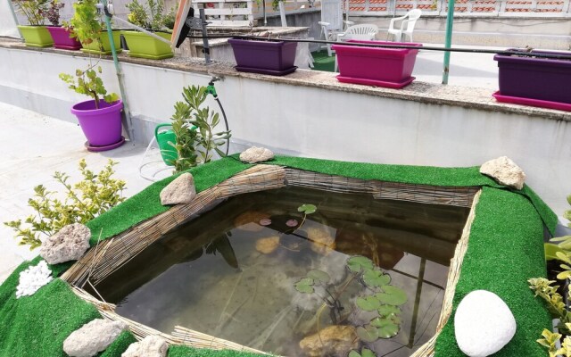 The House of Blue Butterflies