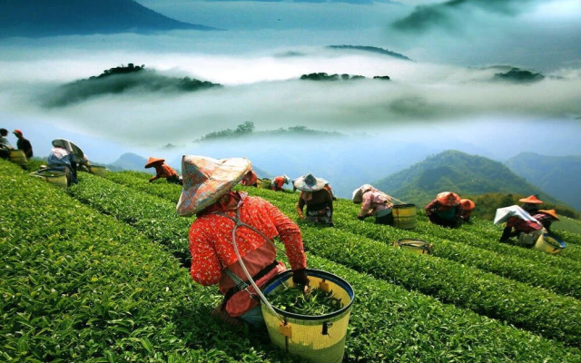 ChinShanvilla