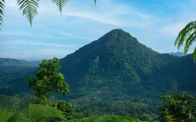 The Upper Clift Resort & Cafe