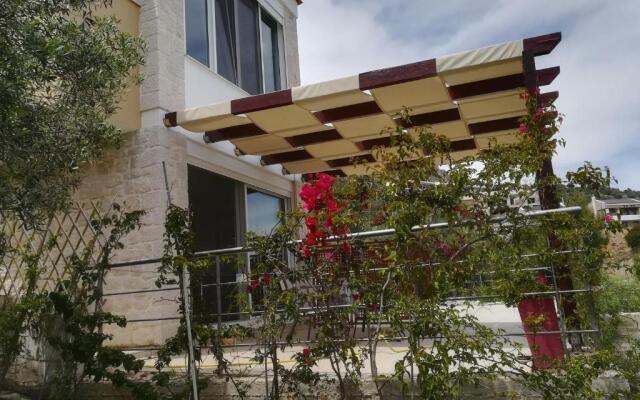 Stone House in olive grove