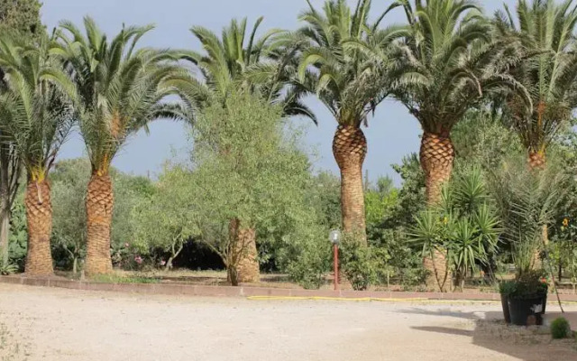 Bed  Breakfast Il Giardino Delle Palme